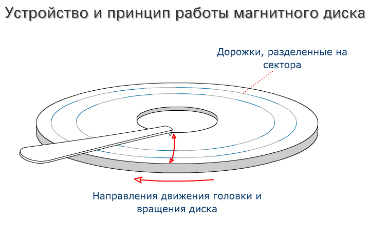 Схема строения диска