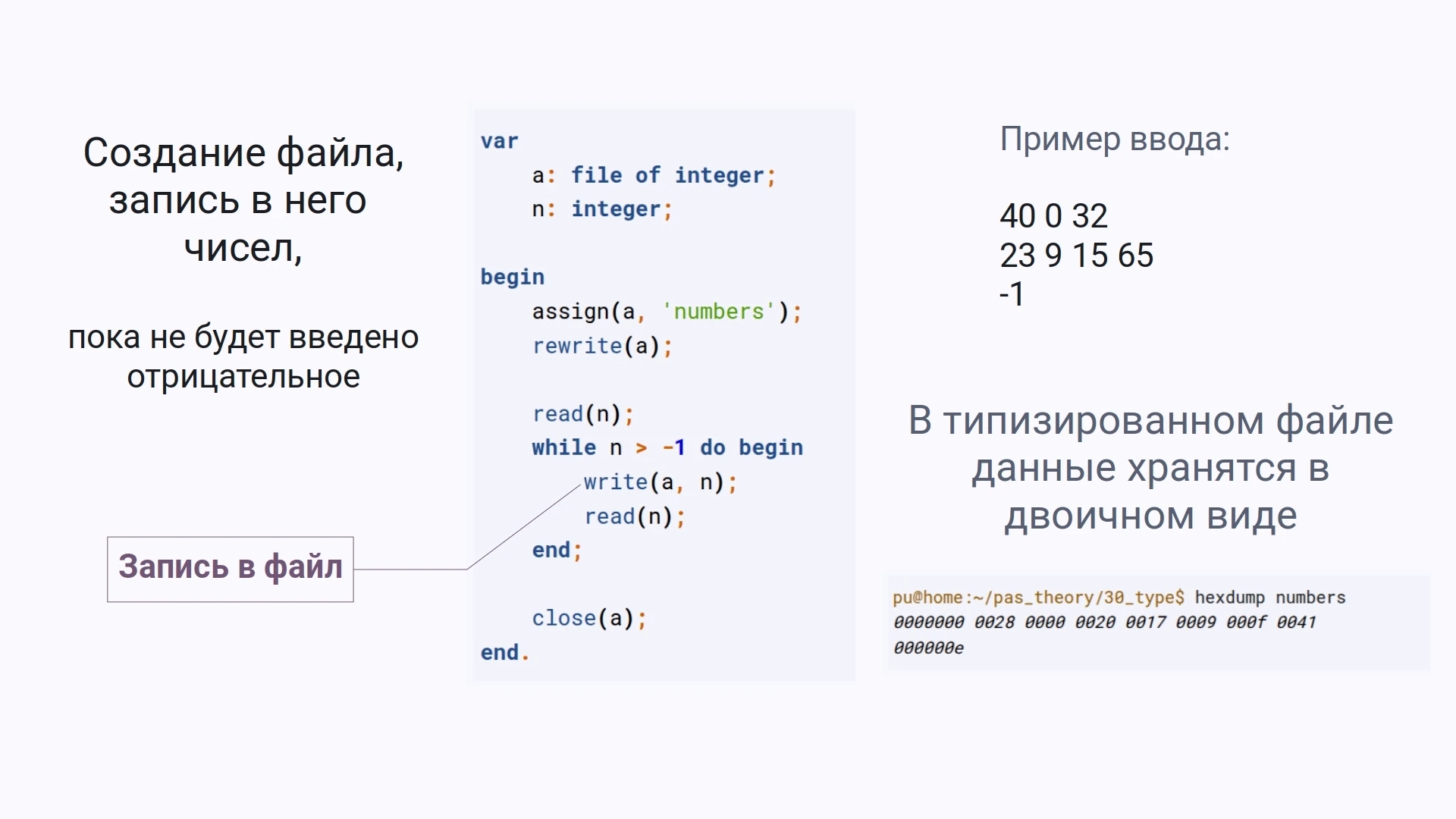 Программа на Pascal, которая создает типизированный файл и записывает в него числа
