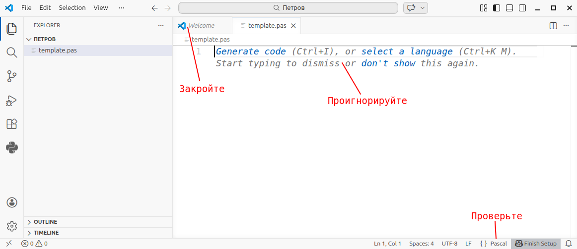 Открытый в редакторе файл с расширением .pas